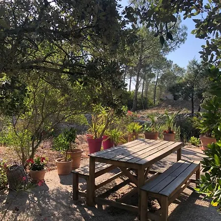 Le Clos Des Cigales